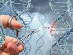 genetica, viitorul umanitatii